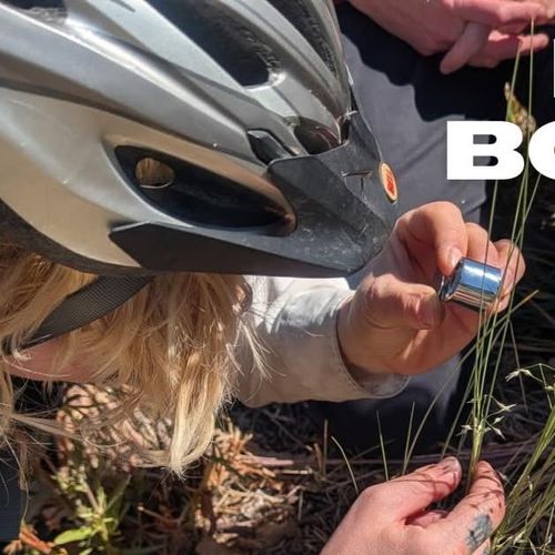 Bicis Y Botánica